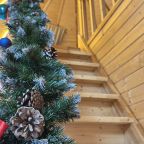 Девятиместный (Купольный домик 2), Гостевой дом Рай в шалаше в Коробицыно