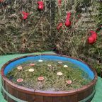 Шале (Шале 1), Гостевой дом Рай в шалаше в Коробицыно