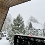 Шале (Большой дом), Гостевой дом Рай в шалаше в Коробицыно