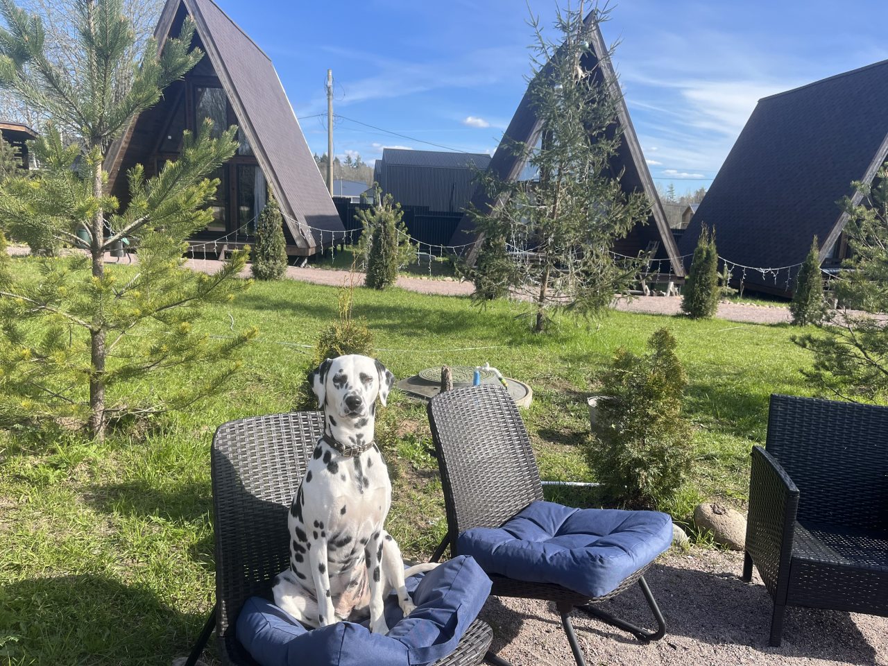 Шале (Шале 3), Гостевой дом Рай в шалаше в Коробицыно