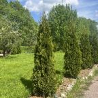 Шале (Шале 3), Гостевой дом Рай в шалаше в Коробицыно