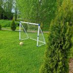 Шале (Большой дом), Гостевой дом Рай в шалаше в Коробицыно