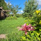 Десятиместный (Купольный домик 1), Гостевой дом Рай в шалаше в Коробицыно