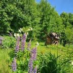 Девятиместный (Купольный домик 2), Гостевой дом Рай в шалаше в Коробицыно