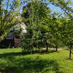 Девятиместный (Купольный домик 2), Гостевой дом Рай в шалаше в Коробицыно