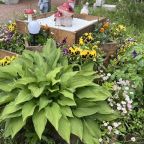 Шале (Шале 1), Гостевой дом Рай в шалаше в Коробицыно