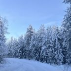 Шале (Большой дом), Гостевой дом Рай в шалаше в Коробицыно