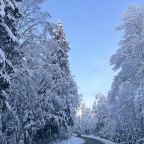 Девятиместный (Сказочный купол 2), Гостевой дом Рай в шалаше в Коробицыно