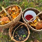 Сбор грибов и ягод, Гостевой дом Рай в шалаше в Светлом