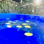 Шале (Шале 4), Гостевой дом Рай в шалаше в Светлом