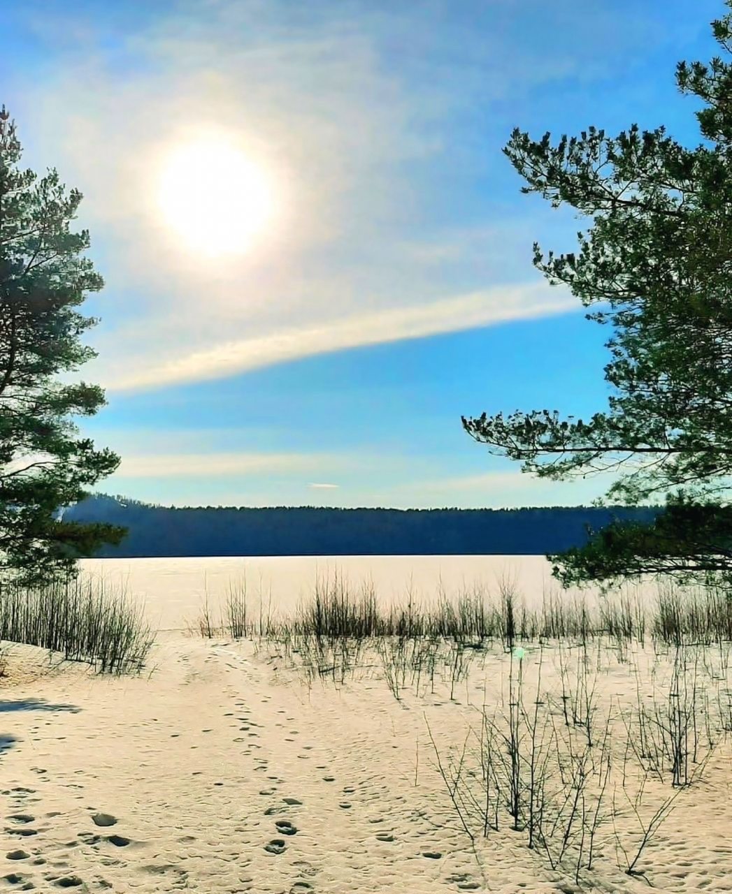 Шале (Шале 4), Гостевой дом Рай в шалаше в Светлом