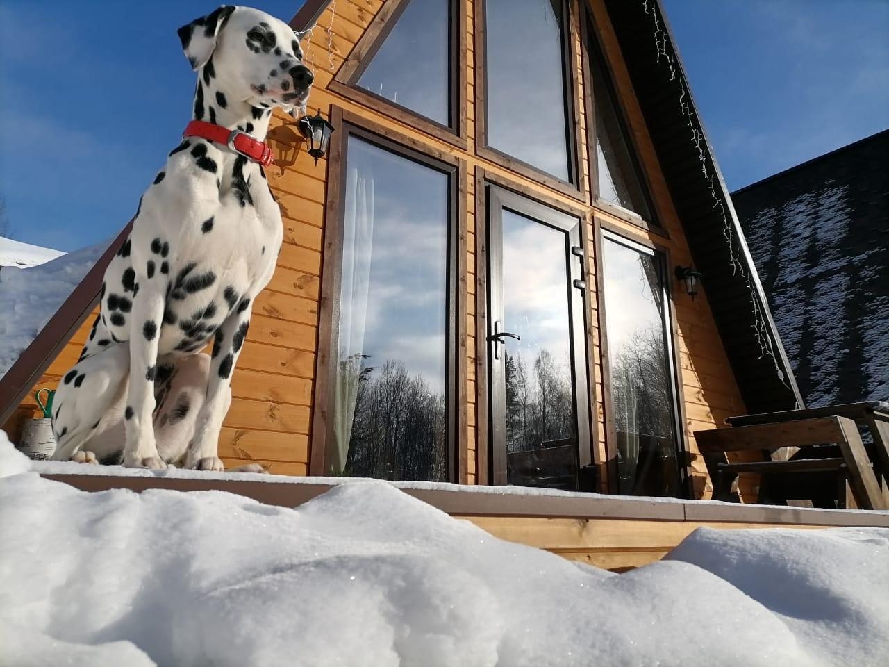 Шале (Шале 2 все оттенки красного), Гостевой дом Рай в шалаше в Светлом