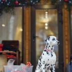 Шале (Большой дом с видом на лес), Гостевой дом Рай в шалаше в Светлом