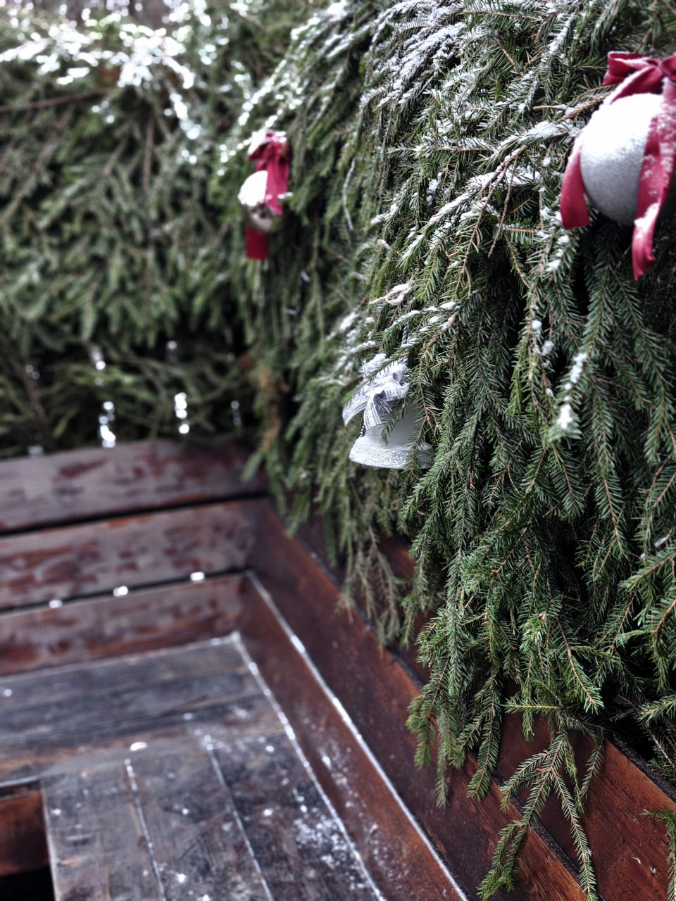 Шале (Большой дом с видом на лес), Гостевой дом Рай в шалаше в Светлом