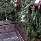 Шале (Большой дом с видом на лес), Гостевой дом Рай в шалаше в Светлом