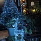 Шале (Шале 1), Гостевой дом Рай в шалаше в Светлом