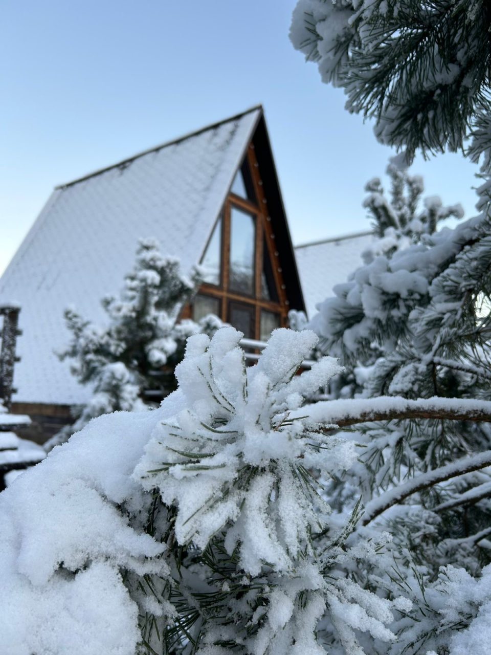 Шале (Шале 1), Гостевой дом Рай в шалаше в Светлом