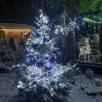 Шале (Шале 1), Гостевой дом Рай в шалаше в Светлом