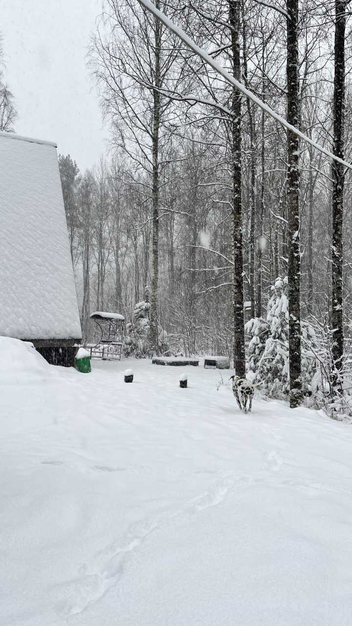 Шале (Большой дом с видом на лес), Гостевой дом Рай в шалаше в Светлом