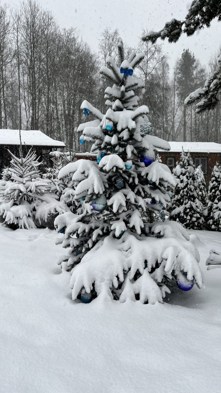 Шале (Большой дом с видом на лес), Гостевой дом Рай в шалаше в Светлом
