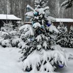 Шале (Большой дом с видом на лес), Гостевой дом Рай в шалаше в Светлом