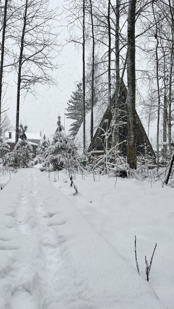 Шале (Большой дом с видом на лес), Гостевой дом Рай в шалаше в Светлом