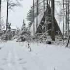 Шале (Большой дом с видом на лес), Гостевой дом Рай в шалаше в Светлом