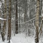 Шале (Большой дом с видом на лес), Гостевой дом Рай в шалаше в Светлом