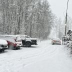 Шале (Большой дом с видом на лес), Гостевой дом Рай в шалаше в Светлом