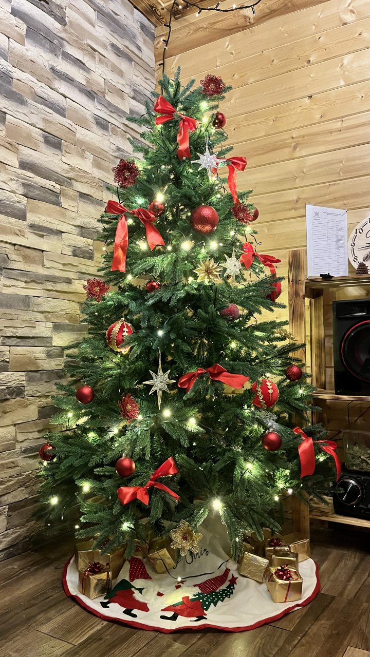 Шале (Большой дом с видом на лес), Гостевой дом Рай в шалаше в Светлом