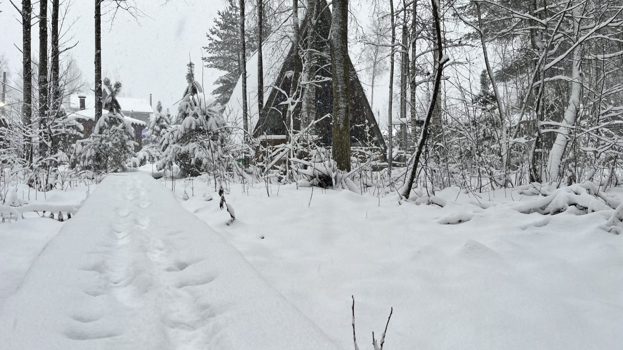 Шале (Большой дом с видом на лес), Гостевой дом Рай в шалаше в Светлом