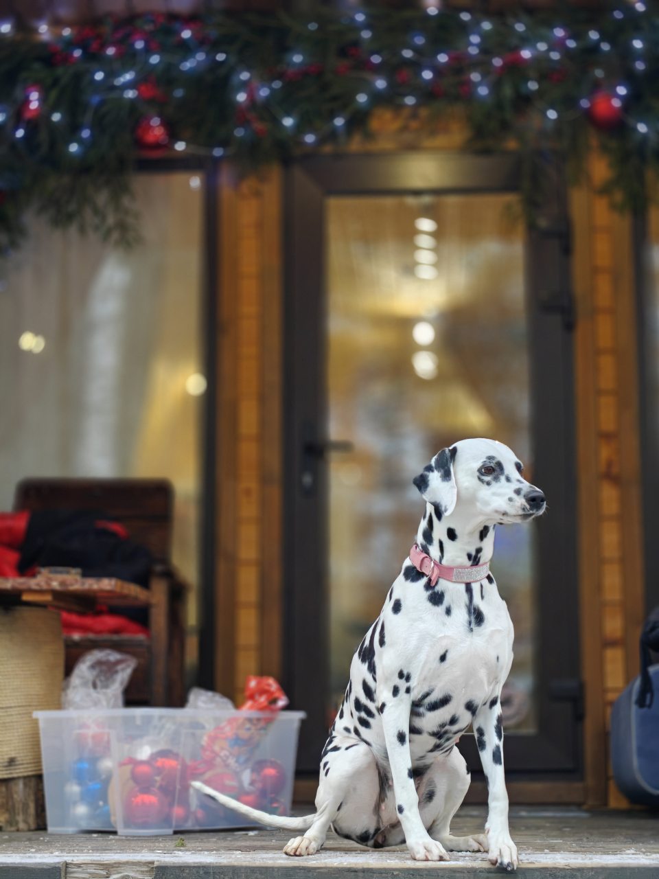 Шале (Большой дом с видом на лес), Гостевой дом Рай в шалаше в Светлом