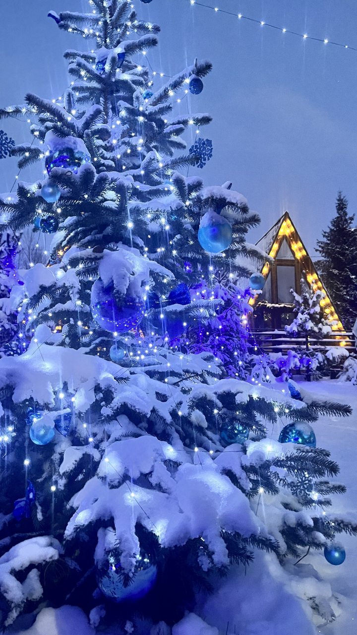 Шале (Шале 1), Гостевой дом Рай в шалаше в Светлом