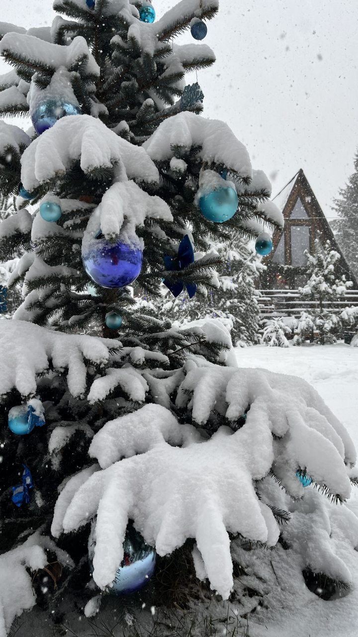 Шале (Шале 1), Гостевой дом Рай в шалаше в Светлом