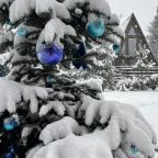 Шале (Шале 1), Гостевой дом Рай в шалаше в Светлом