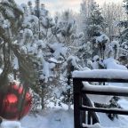 Шале (Шале 2 все оттенки красного), Гостевой дом Рай в шалаше в Светлом