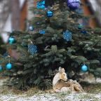 Шале (Шале 2 все оттенки красного), Гостевой дом Рай в шалаше в Светлом