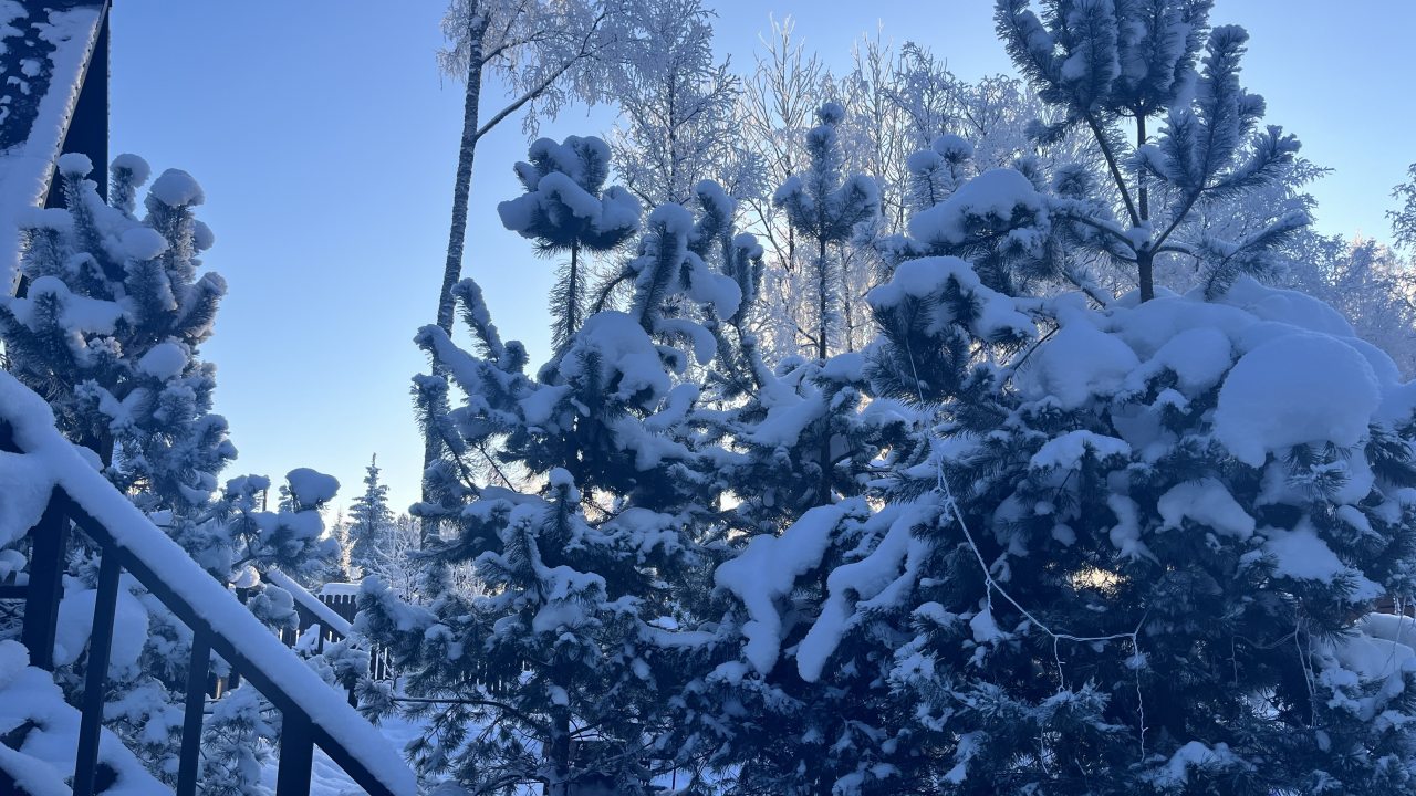 Шале (Шале 3), Гостевой дом Рай в шалаше в Светлом