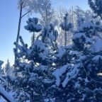 Шале (Шале 3), Гостевой дом Рай в шалаше в Светлом
