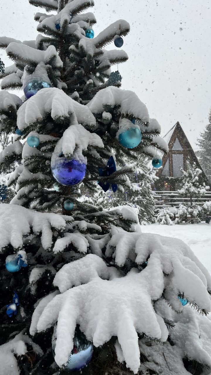 Шале (Шале 3), Гостевой дом Рай в шалаше в Светлом