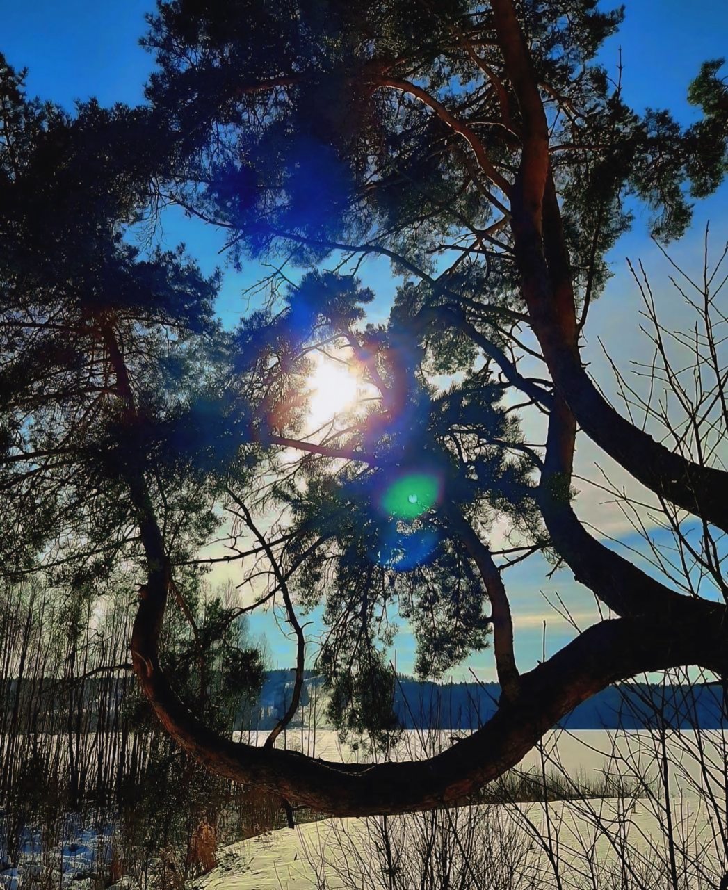 Шале (Шале 3), Гостевой дом Рай в шалаше в Светлом