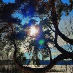 Шале (Шале 3), Гостевой дом Рай в шалаше в Светлом