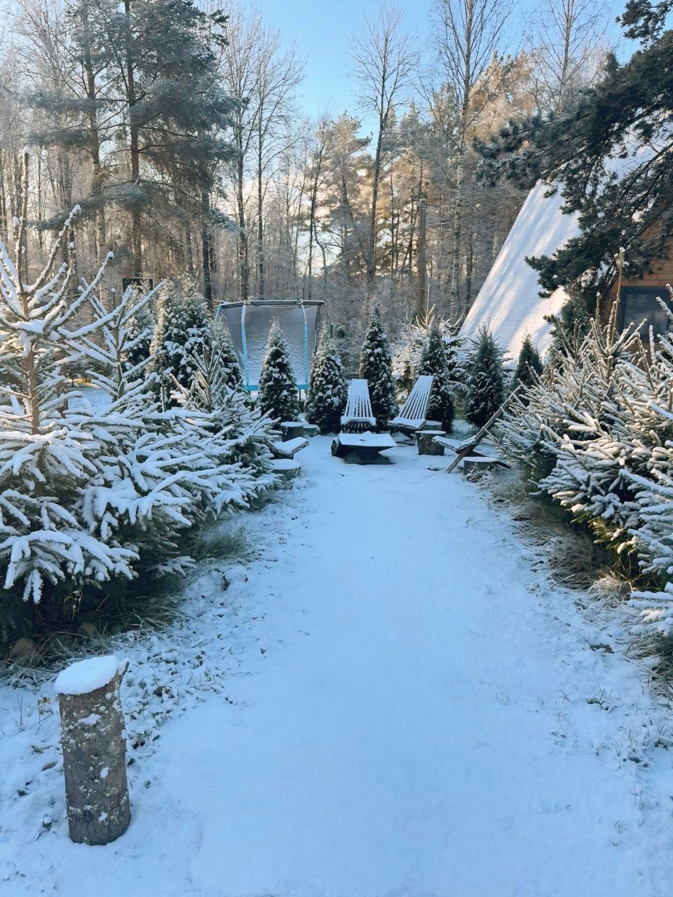 Шале (Шале 3), Гостевой дом Рай в шалаше в Светлом
