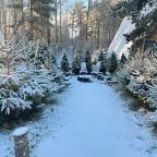 Шале (Шале 3), Гостевой дом Рай в шалаше в Светлом