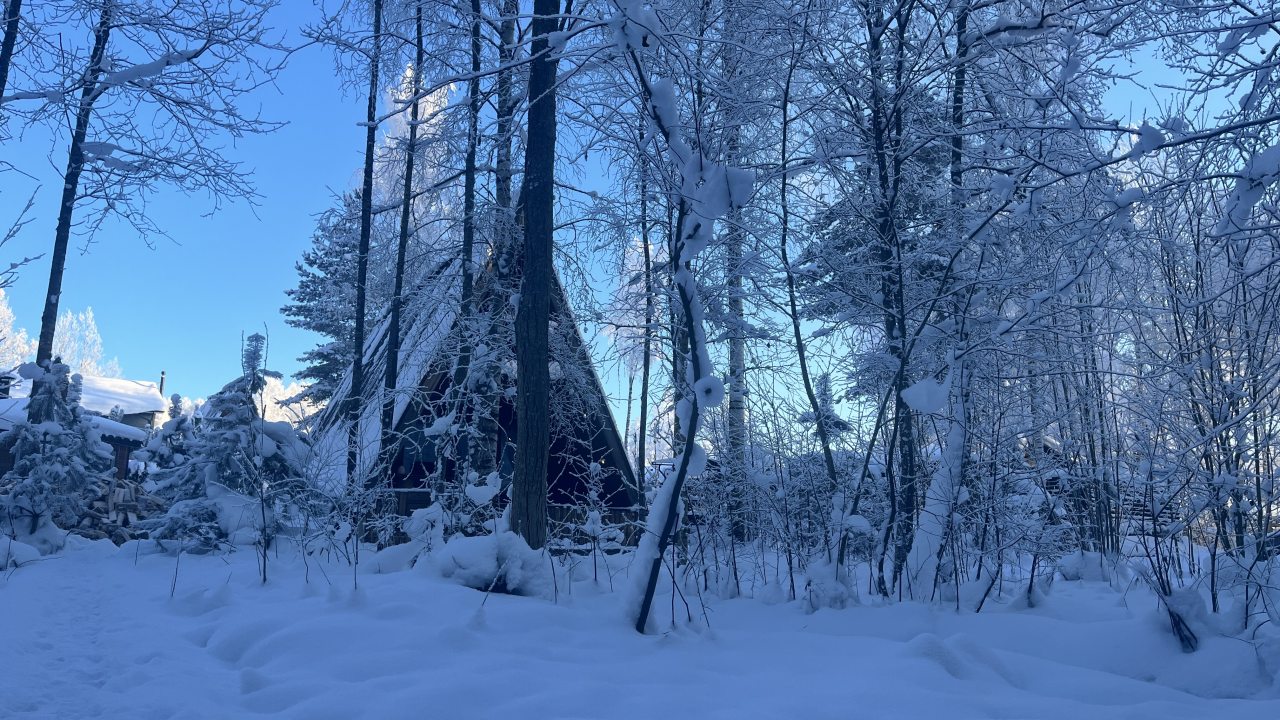 Шале (Большой дом с видом на лес), Гостевой дом Рай в шалаше в Светлом