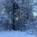 Шале (Большой дом с видом на лес), Гостевой дом Рай в шалаше в Светлом