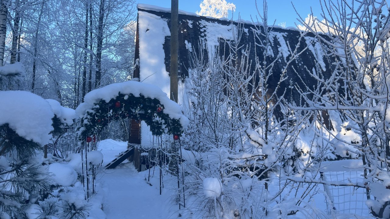 Шале (Большой дом с видом на лес), Гостевой дом Рай в шалаше в Светлом
