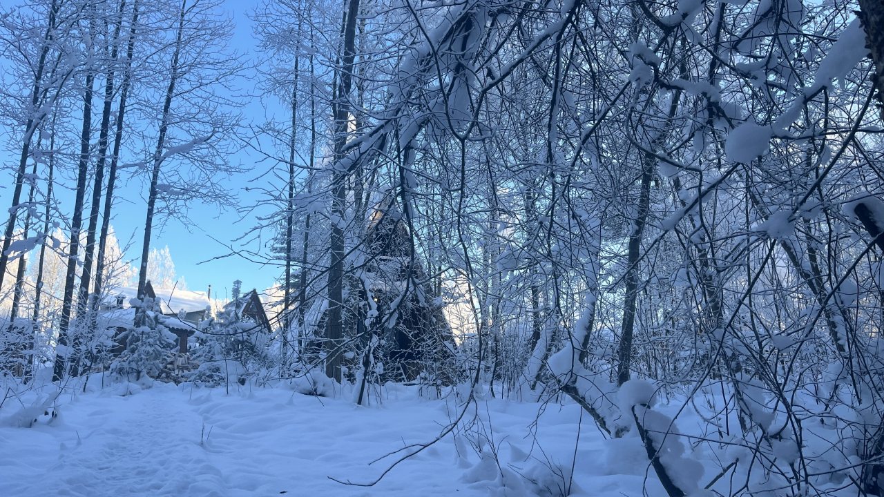 Шале (Большой дом с видом на лес), Гостевой дом Рай в шалаше в Светлом