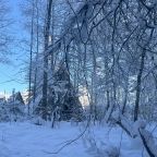 Шале (Большой дом с видом на лес), Гостевой дом Рай в шалаше в Светлом