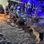 Шале (Большой дом с видом на лес), Гостевой дом Рай в шалаше в Светлом